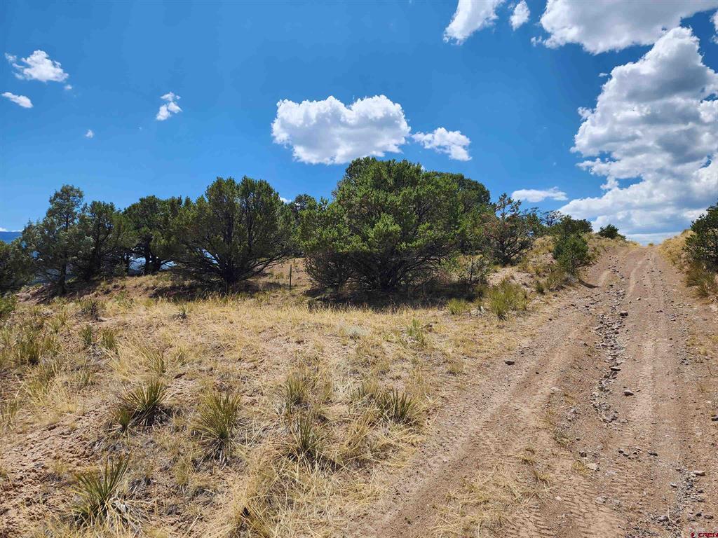 337 Trinchera Road South Fork CO 81154