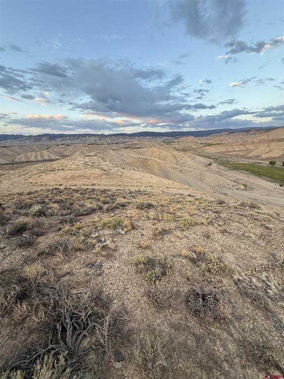 Tbd E Oak Grove Road Montrose CO 81401