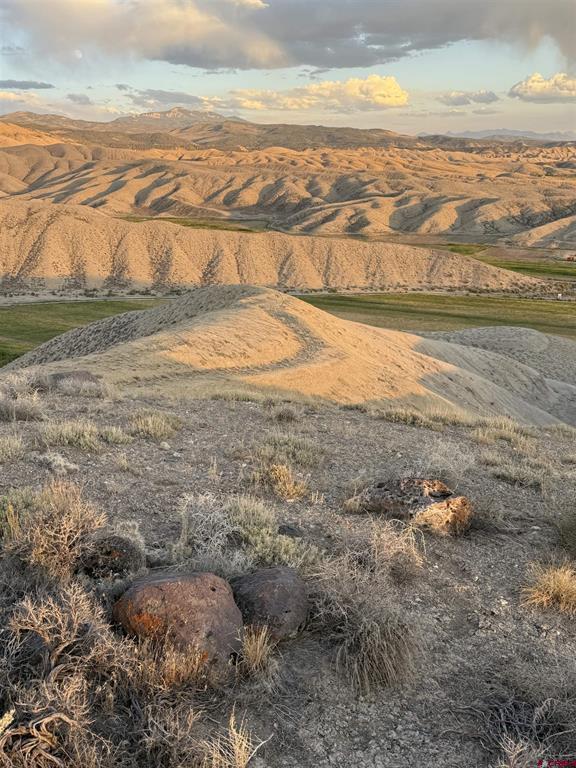Tbd E Oak Grove Road Montrose CO 81401