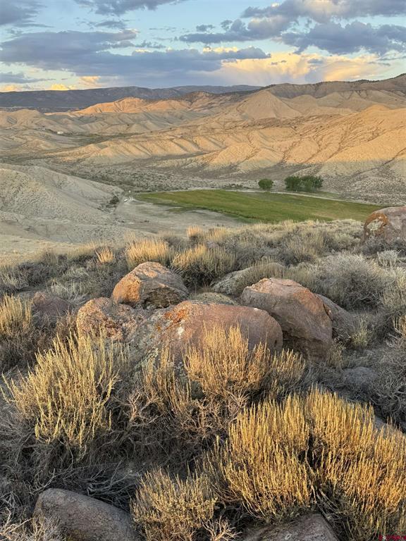 Tbd E Oak Grove Road Montrose CO 81401