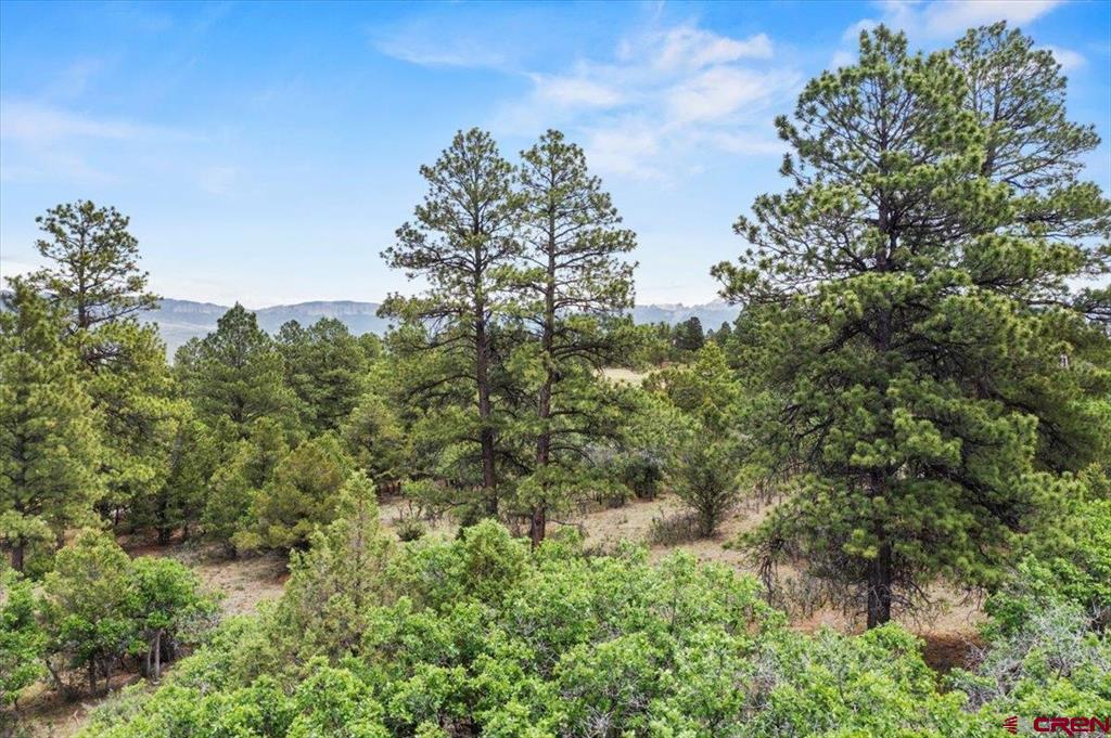 Tbd Lot 219 Marmot Drive Ridgway CO 81432