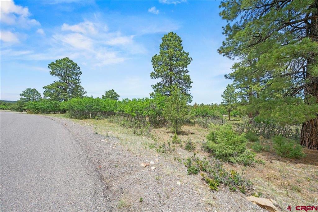 Tbd Lot 219 Marmot Drive Ridgway CO 81432