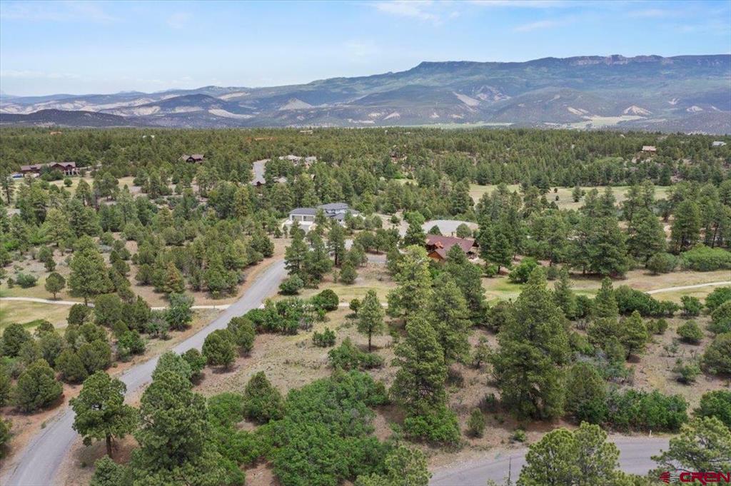 Tbd Lot 219 Marmot Drive Ridgway CO 81432