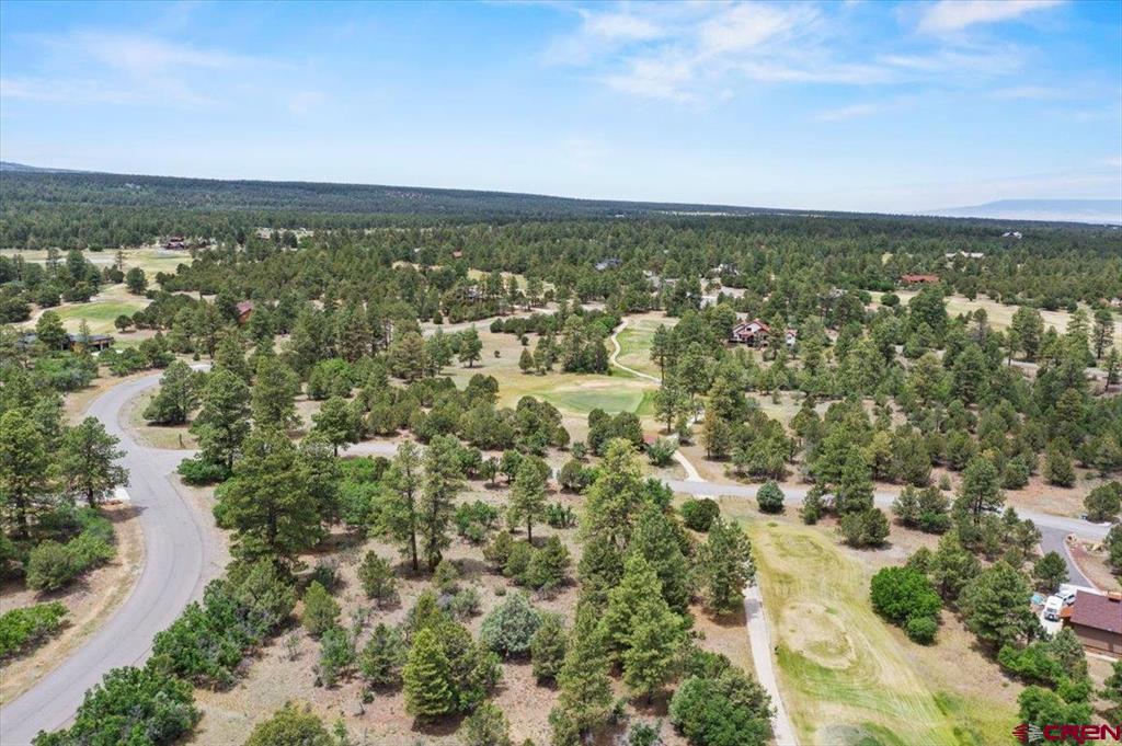 Tbd Lot 219 Marmot Drive Ridgway CO 81432