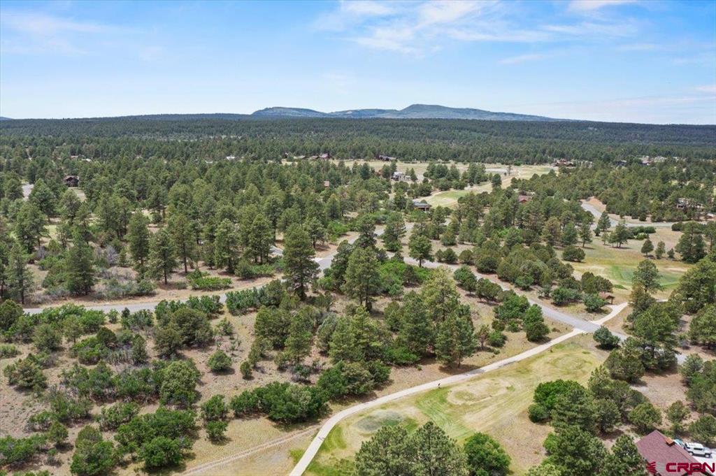 Tbd Lot 219 Marmot Drive Ridgway CO 81432