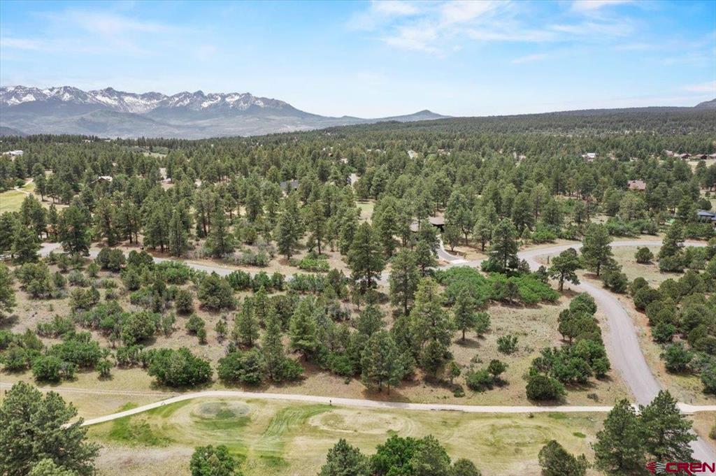 Tbd Lot 219 Marmot Drive Ridgway CO 81432