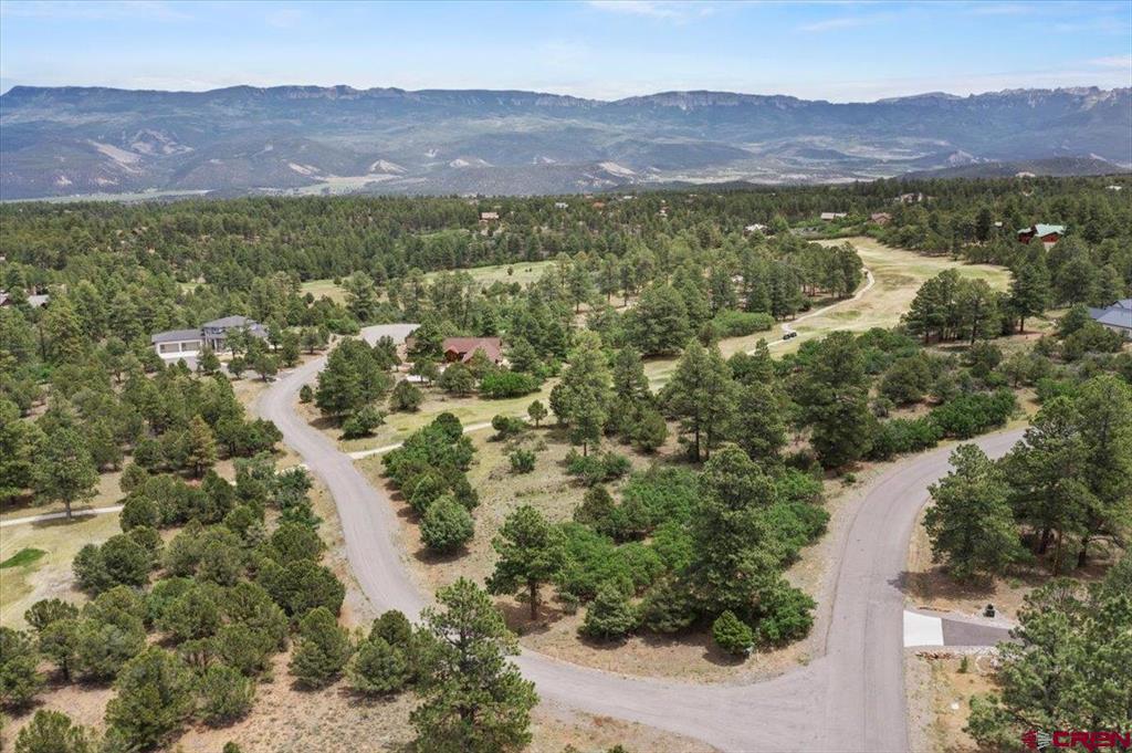 Tbd Lot 219 Marmot Drive Ridgway CO 81432