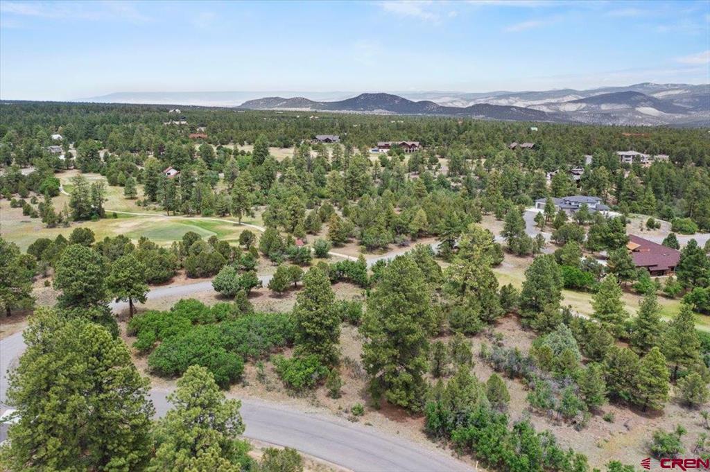 Tbd Lot 219 Marmot Drive Ridgway CO 81432
