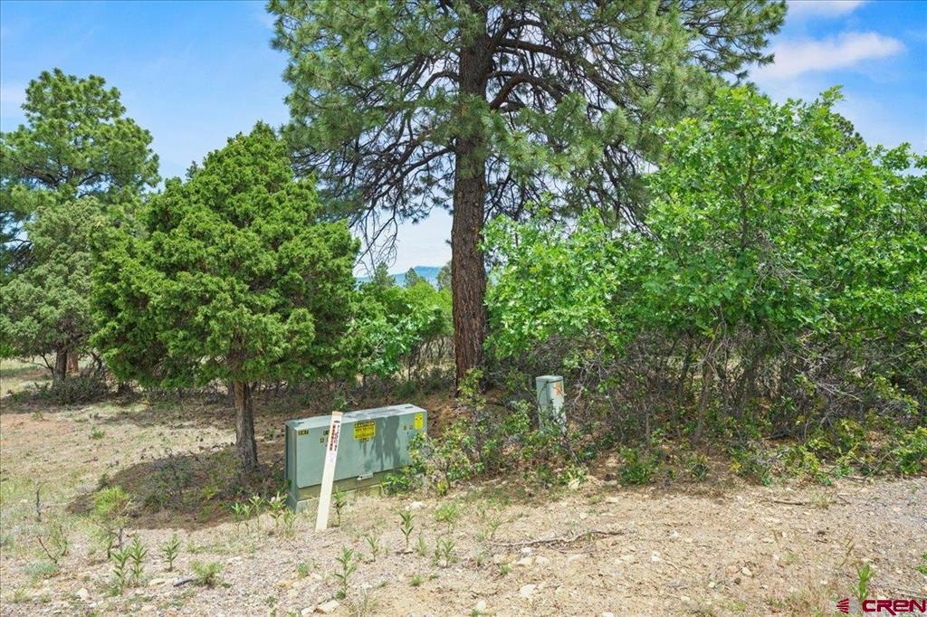 Tbd Lot 219 Marmot Drive Ridgway CO 81432
