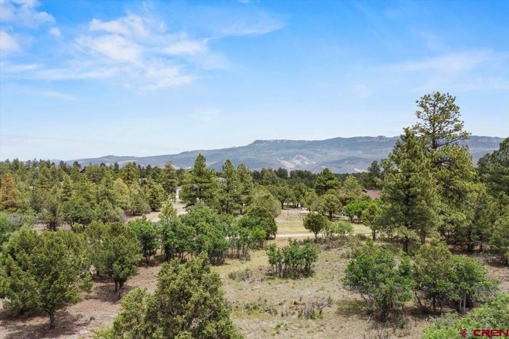 Tbd Lot 219 Marmot Drive Ridgway CO 81432