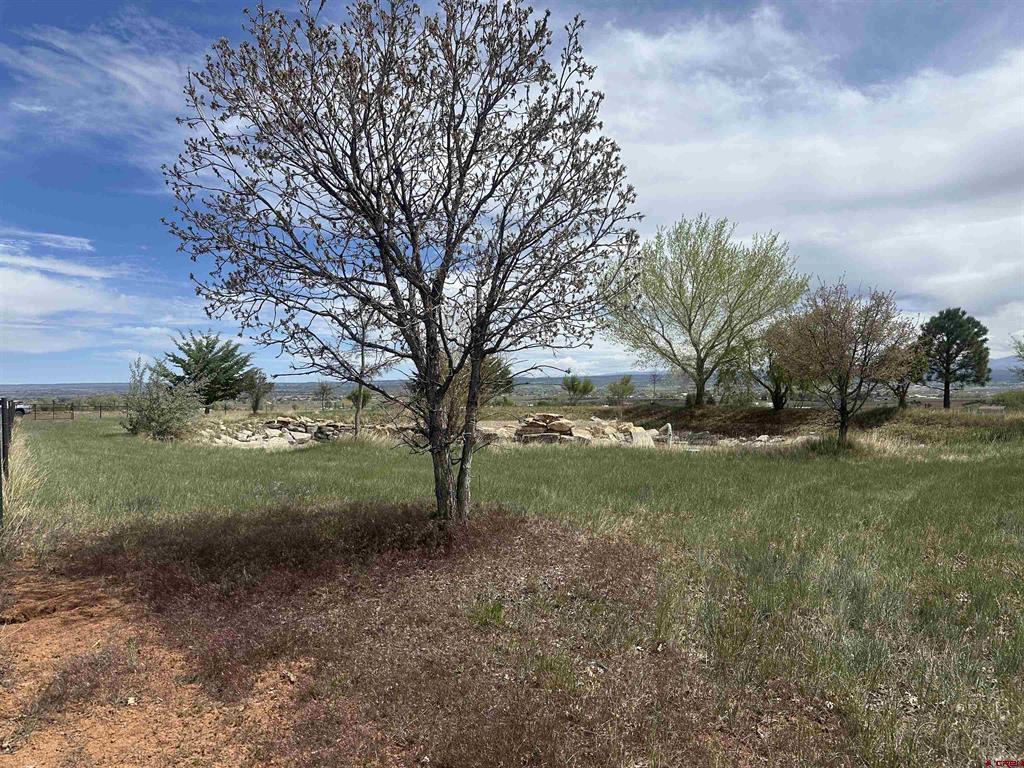 Tbd Road K.3 Cortez CO 81321