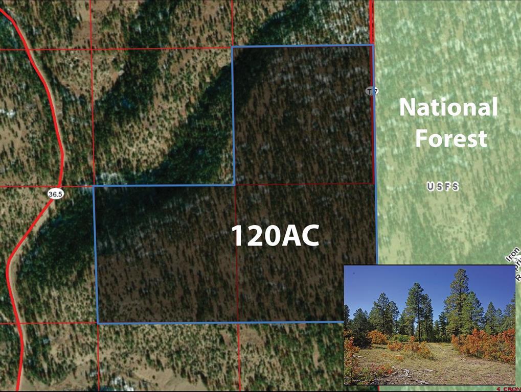 Tbd 120 Road T.7 Mancos CO 81328
