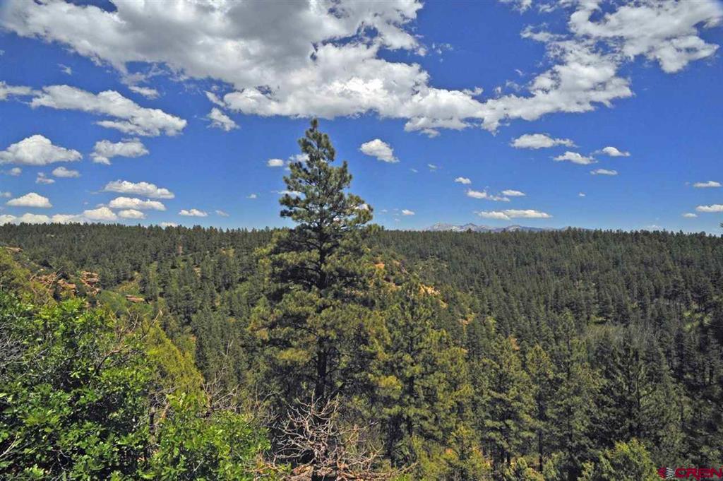 Tbd 120 Road T.7 Mancos CO 81328