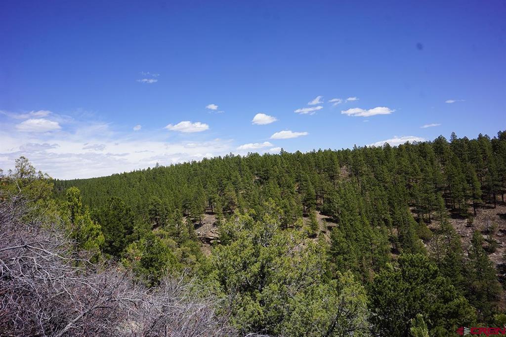 Tbd 120 Road T.7 Mancos CO 81328