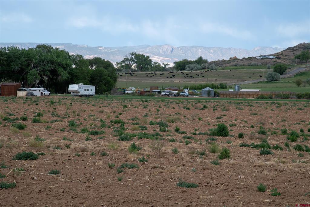 Tbd Kiowa Road Montrose CO 81403