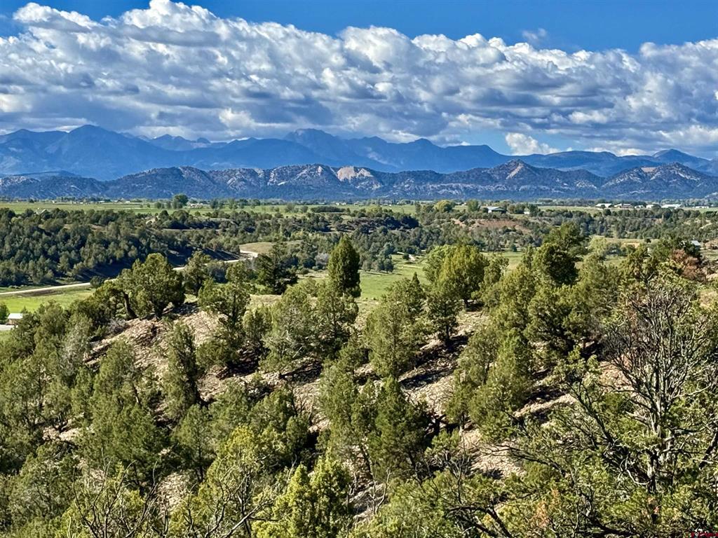 2153 Wrangler Way Durango CO 81301