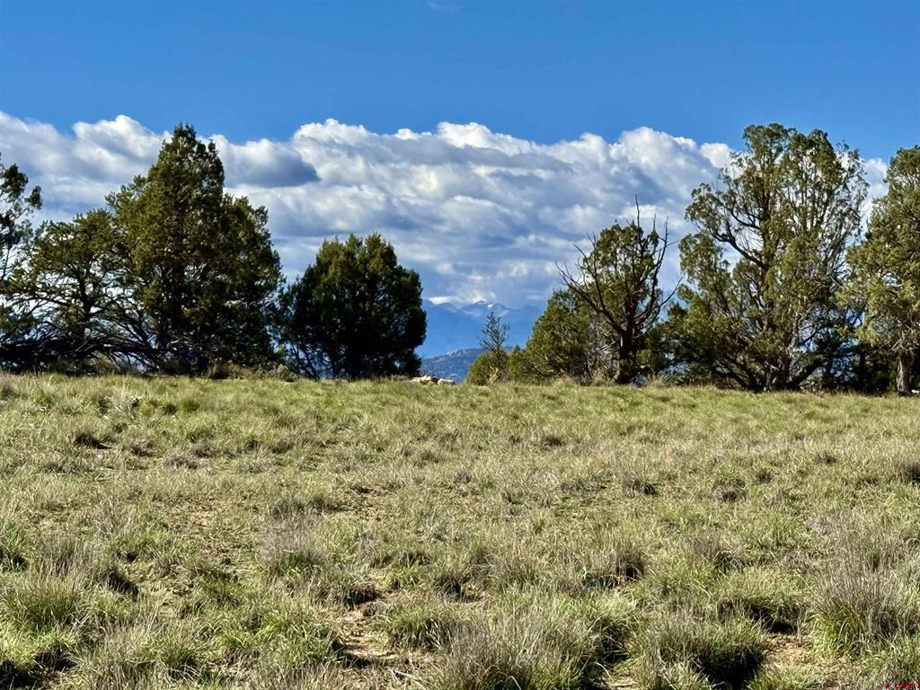 2153 Wrangler Way Durango CO 81301