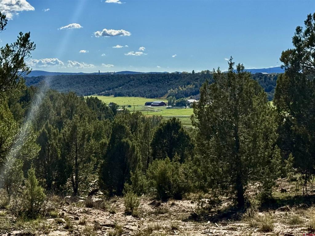 2153 Wrangler Way Durango CO 81301