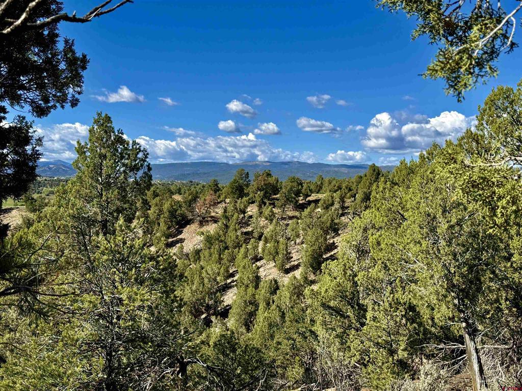 2153 Wrangler Way Durango CO 81301