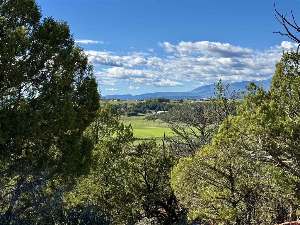 2153 Wrangler Way Durango CO 81301