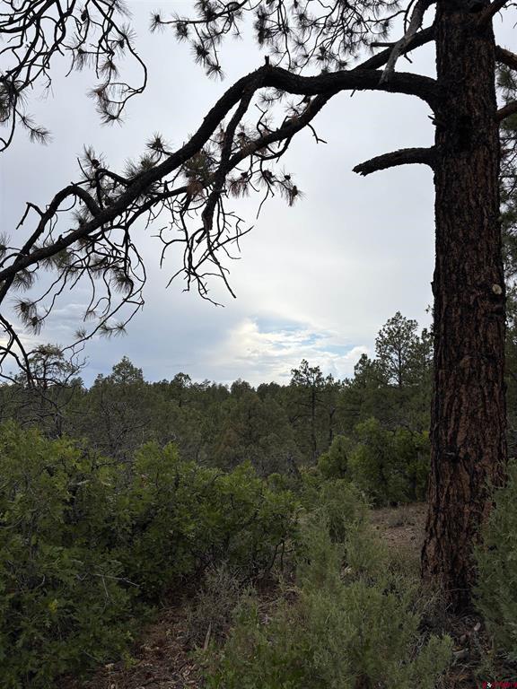 2932 Crooked Road Pagosa Springs CO 81147