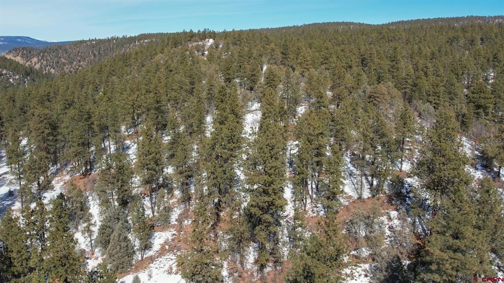 2932 Crooked Road Pagosa Springs CO 81147
