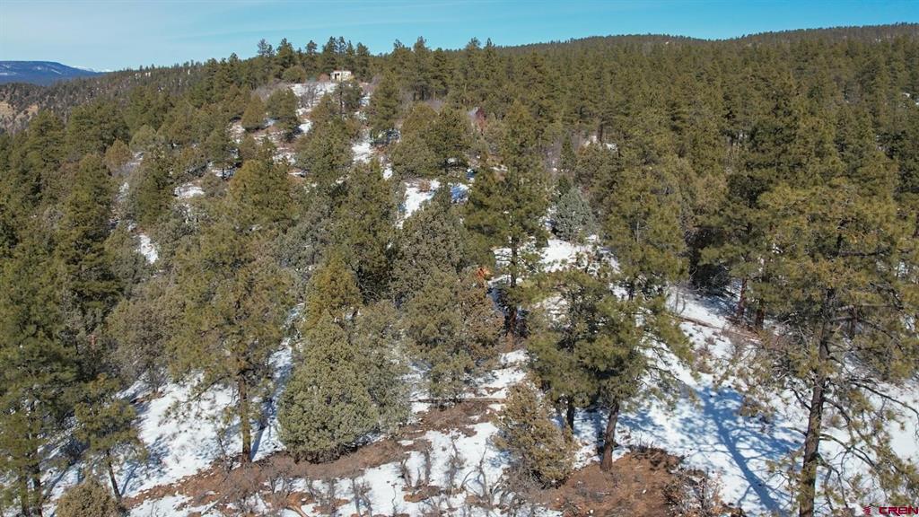 2932 Crooked Road Pagosa Springs CO 81147