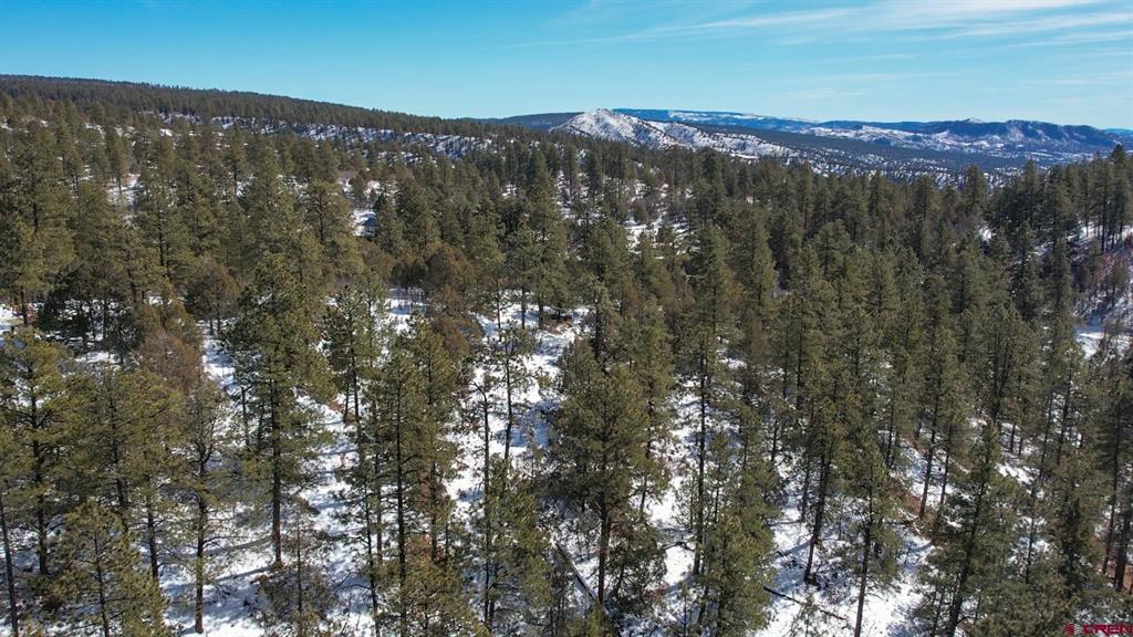 2932 Crooked Road Pagosa Springs CO 81147