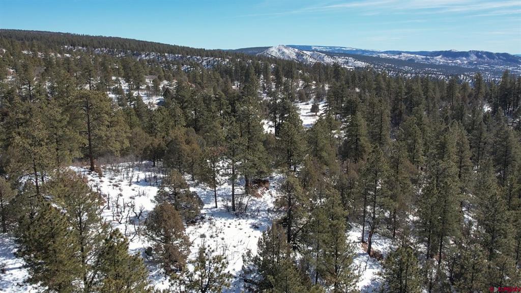 2932 Crooked Road Pagosa Springs CO 81147
