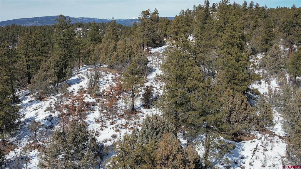 2932 Crooked Road Pagosa Springs CO 81147