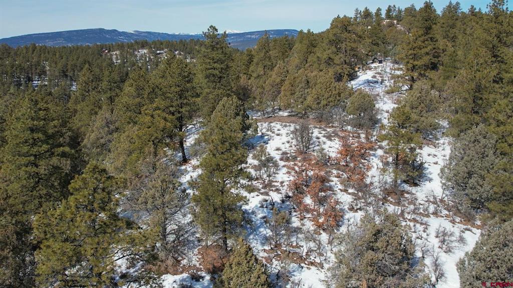 2932 Crooked Road Pagosa Springs CO 81147