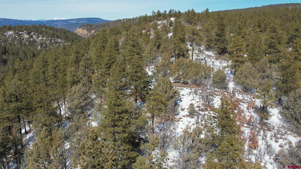 2932 Crooked Road Pagosa Springs CO 81147