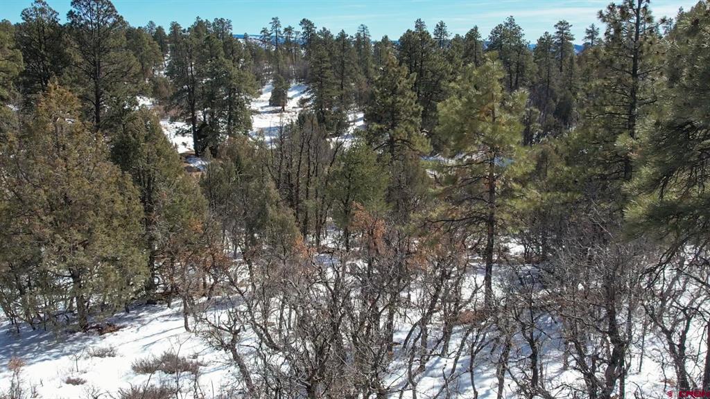 2932 Crooked Road Pagosa Springs CO 81147
