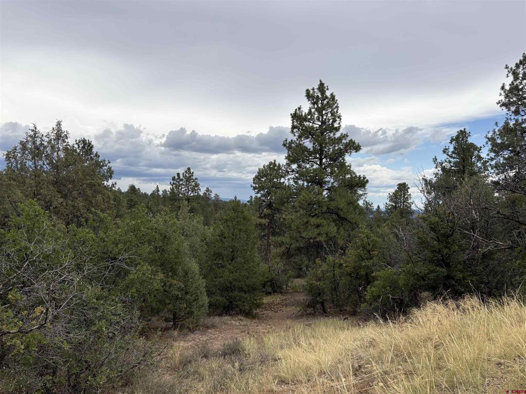 2932 Crooked Road Pagosa Springs CO 81147