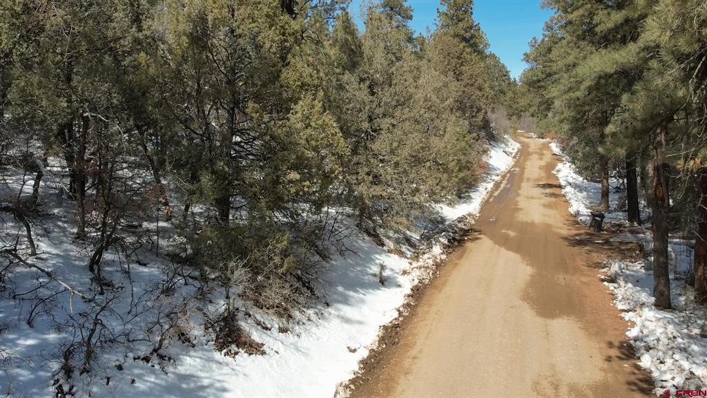 2932 Crooked Road Pagosa Springs CO 81147