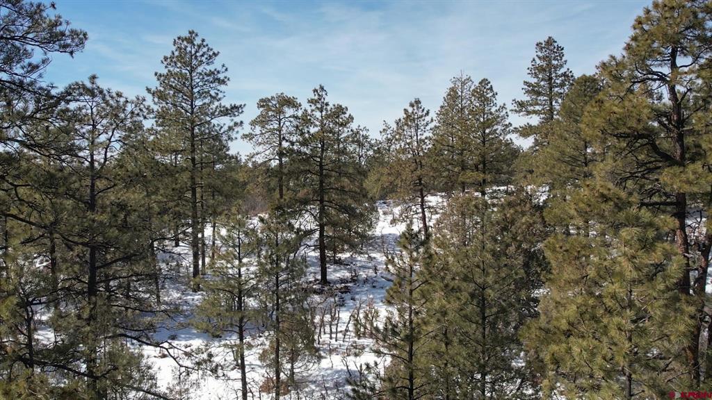 2932 Crooked Road Pagosa Springs CO 81147