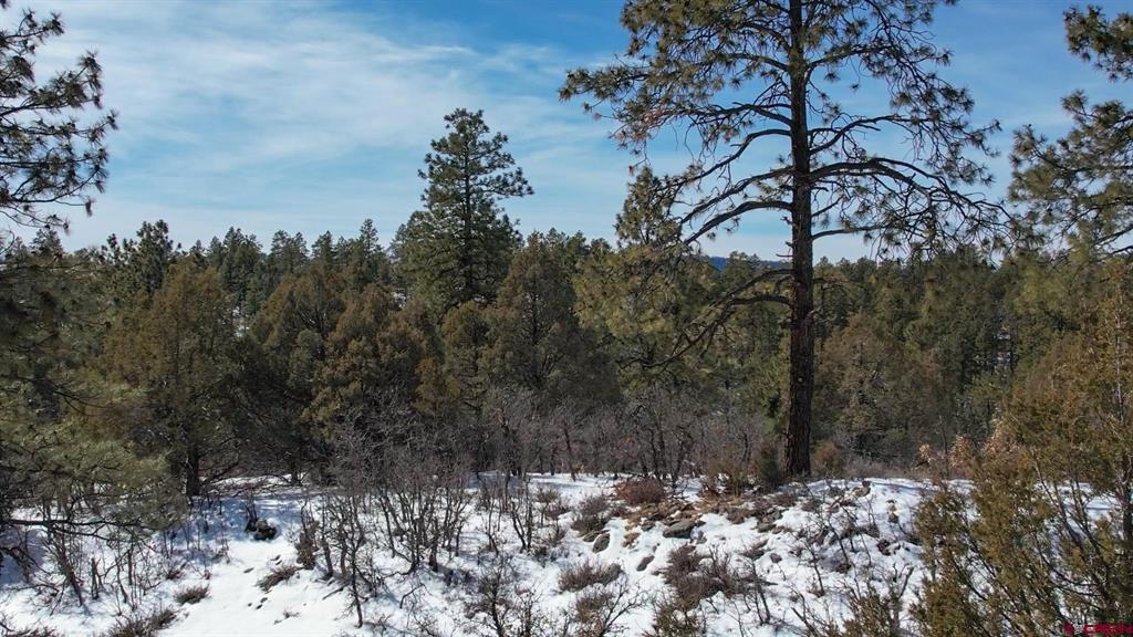 2932 Crooked Road Pagosa Springs CO 81147