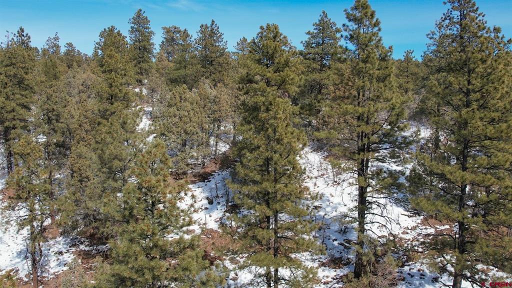 2932 Crooked Road Pagosa Springs CO 81147