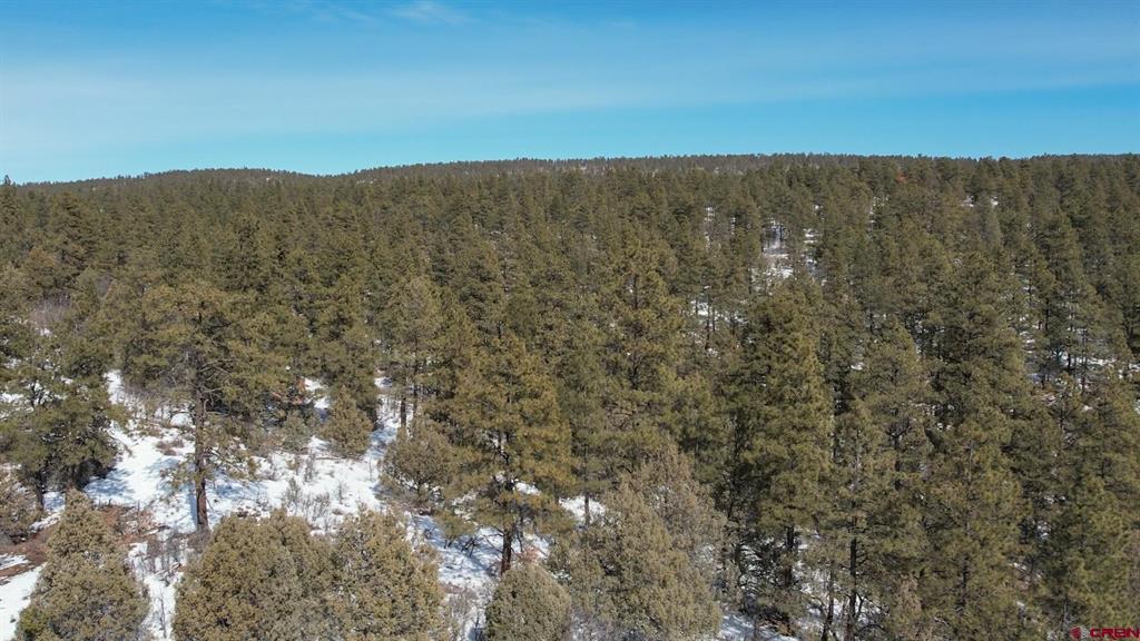 2932 Crooked Road Pagosa Springs CO 81147