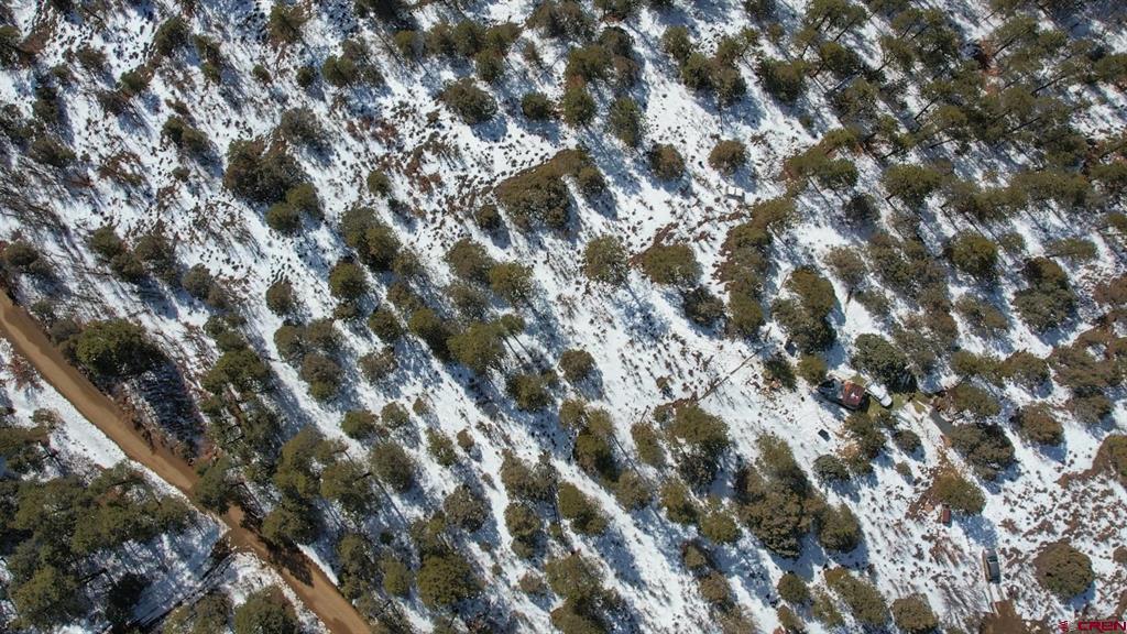 2932 Crooked Road Pagosa Springs CO 81147