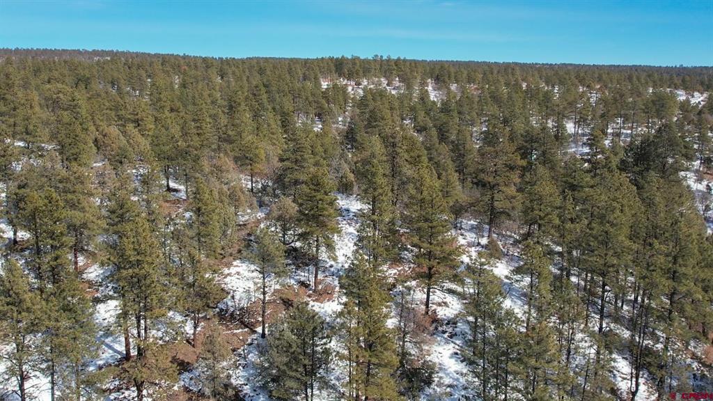 2932 Crooked Road Pagosa Springs CO 81147