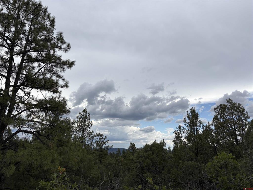 2932 Crooked Road Pagosa Springs CO 81147