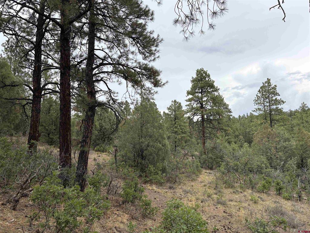 2932 Crooked Road Pagosa Springs CO 81147