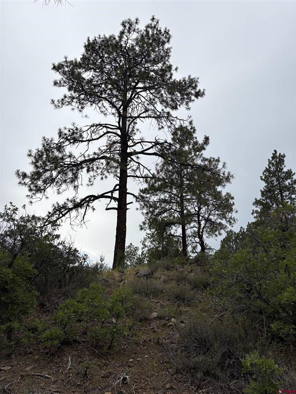 2932 Crooked Road Pagosa Springs CO 81147
