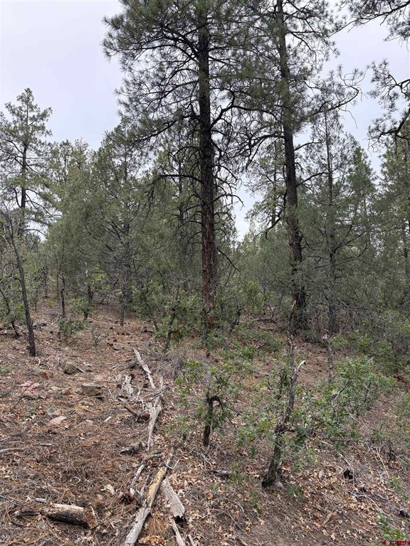 2932 Crooked Road Pagosa Springs CO 81147