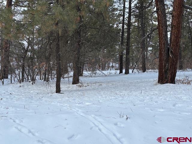 2932 Crooked Road Pagosa Springs CO 81147