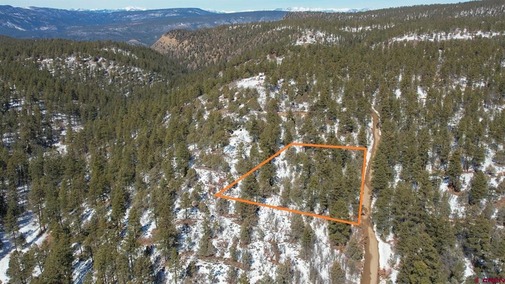 2932 Crooked Road Pagosa Springs CO 81147