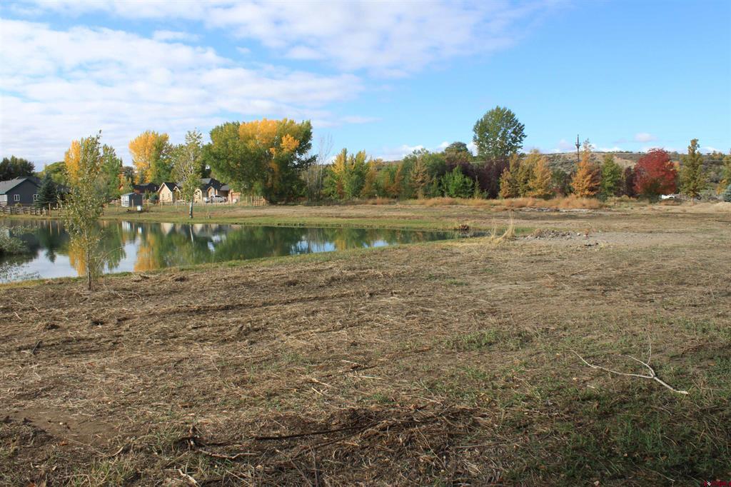 Tbd (Lot 2) 6360 Drive Montrose CO 81403