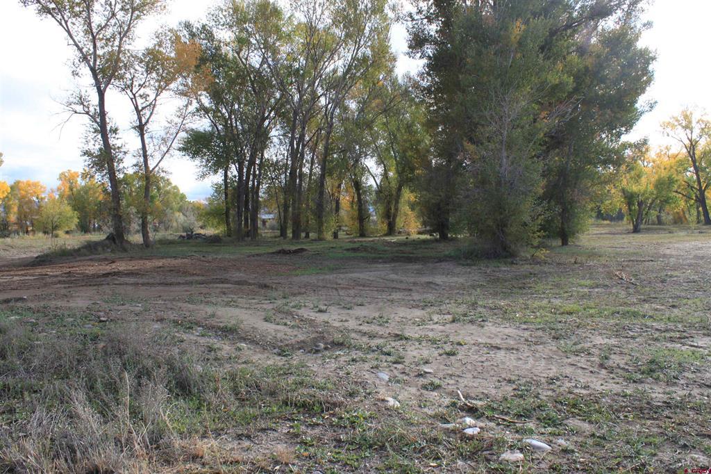 Tbd (Lot 2) 6360 Drive Montrose CO 81403