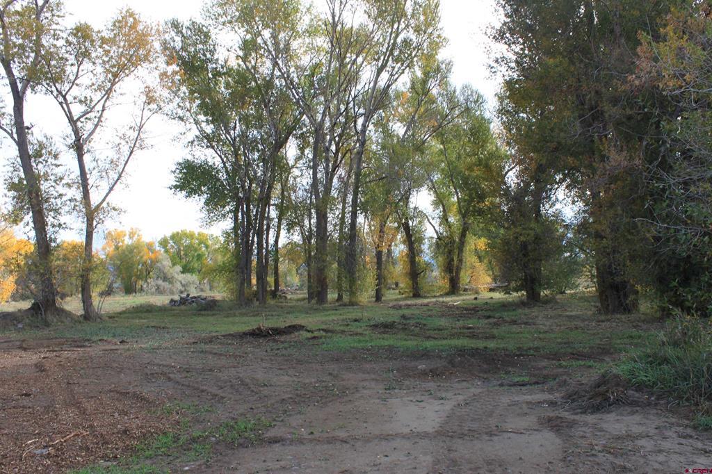 Tbd (Lot 2) 6360 Drive Montrose CO 81403